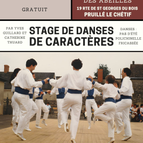 Stage_de_danses_de_caracteres