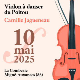 Stage_de_violon