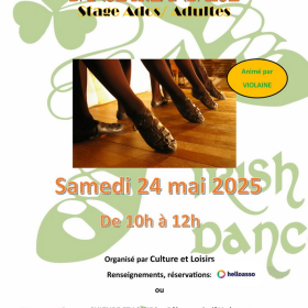 Stage_de_danse_irlandaise