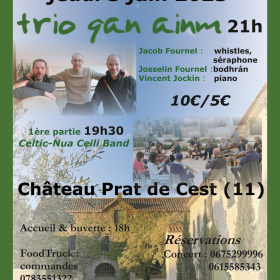 Soiree_concerts_irlandais