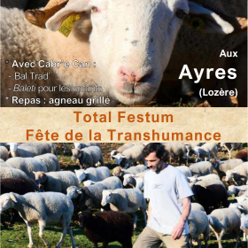 Total_Festum_Transhumance
