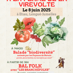 Le_bal_de_la_Virevolte