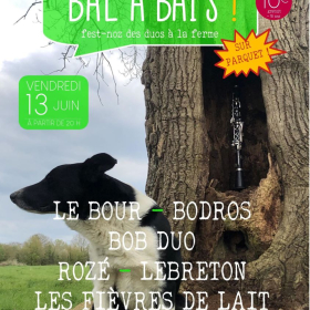 Balabais_Fest_Noz_des_duos_a_la_ferme