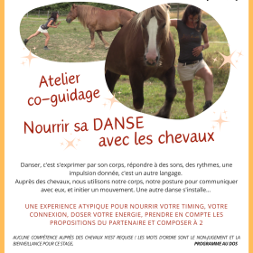 Atelier_co_guidage