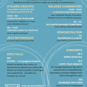 festival_Nuit_des_forets