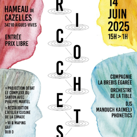 Ricochets