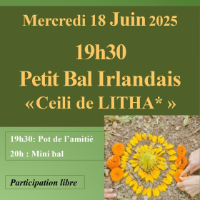 Mini_ceili_de_litha_mini_bal_irlandais