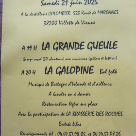 Fete_de_la_musique_a_Villette_de_Vienne