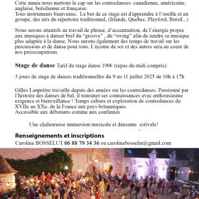 Stage_de_musiques_traditionnelles