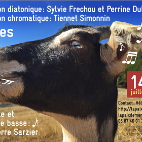 Stages_de_clarinette_d_accordeon_diatonique_et_chromatique
