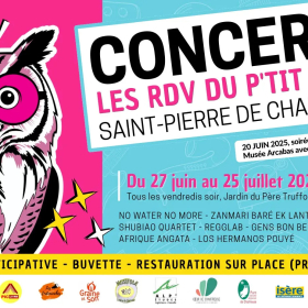 Bal_folk_Festival_du_P_titSon