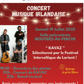 Concert_de_musique_irlandaise