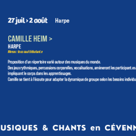 Stage_de_harpe