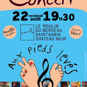 Bal_Folk_avec_Au_Pied_Leve_Pique_Nique_Concert