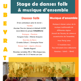Stage_de_musiques_et_danses_traditionnelles