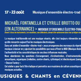 Stage_de_musique_d_ensemble_electro_trad