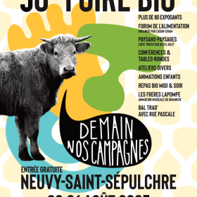 Bal_trad_de_la_50e_Foire_bio_de_Neuvy_St_Sepulchre